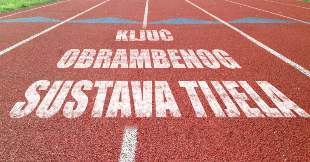 Obrambeni sustav – glavni faktor zdravlja